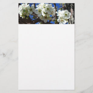 Papelaria Árvore de pera de Primavera de Flor em Clusters B