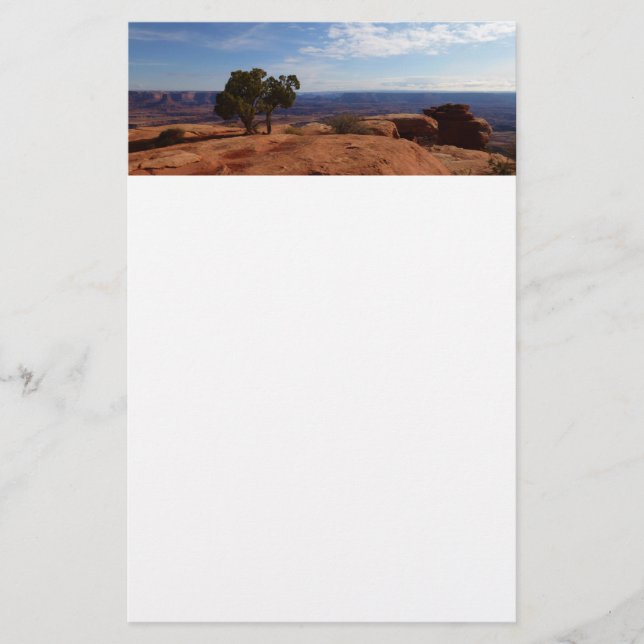 Papelaria Árvore Fora das Rochas Vermelhas I em Canyonlands (Frente)