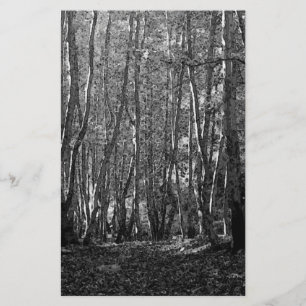 Papelaria Árvores BW