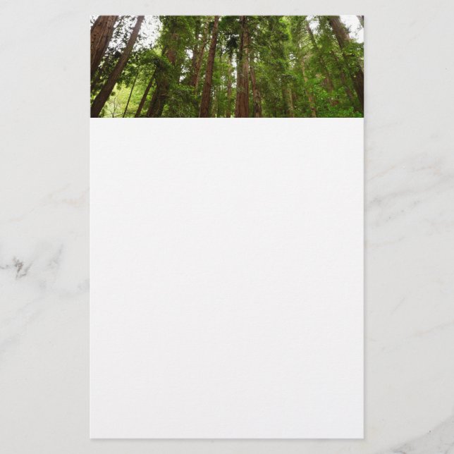 Papelaria Até Sequoias Eu no Monumento Nacional de Muir Wood (Frente)