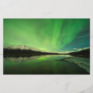 Papelaria Aurora Shallows