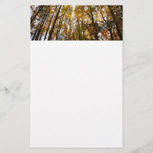 Papelaria Autumn Leaves na Morning Maryland