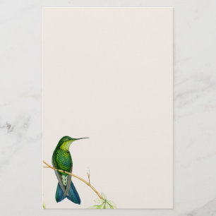 Papelaria Aves de Capoeira Flores Animais Selvagens Florais