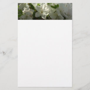 Papelaria Azaleas brancas e solares lindas flores de primave