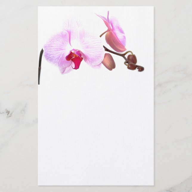 Papelaria Aziza Orchid Blossoms (Frente)