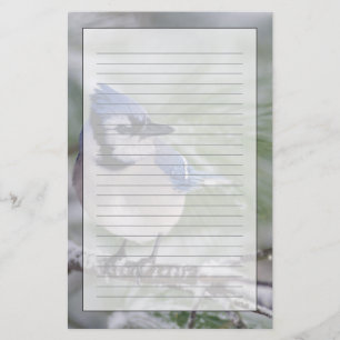 Papelaria Azul Jay, Cyanocitta cristata