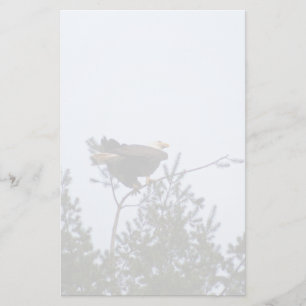 Papelaria Bald Eagle