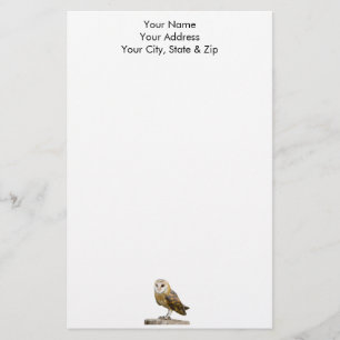 Papelaria Barn Owl