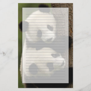 Papelaria Bebês de panda gigante (Ailuropoda melanoleuca) 2