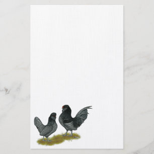 Papelaria Belga Watermaal Bantams