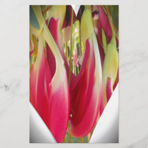 Papelaria Belo legal Incrível Coração de Hakuna Matata.png