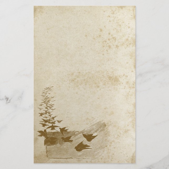 Papelaria Belo Papel de Cartaz de Pássaros Aposentados (Frente)