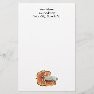 Papelaria Betta Fish Stationery