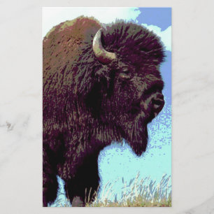 Papelaria Bison Pop Art