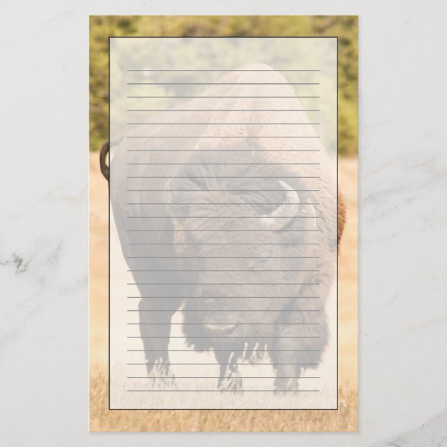 Papelaria Bisonte (Frente)
