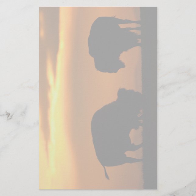 Papelaria bisonte (Frente)