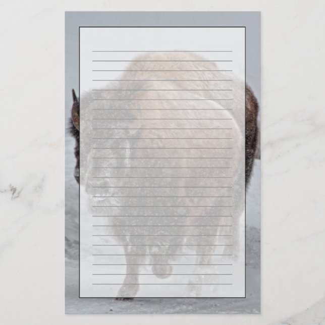 Papelaria Bisonte de Yellowstone (Frente)