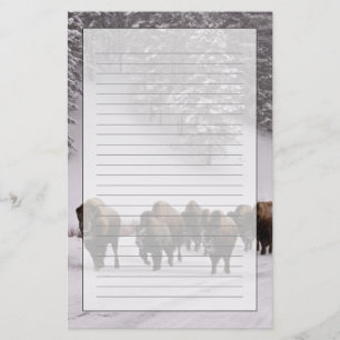 Papelaria Bisonte no inverno