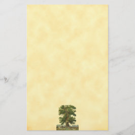 Papelaria Blindagem de Papel Vintage Oak Tree Faux - Vincula