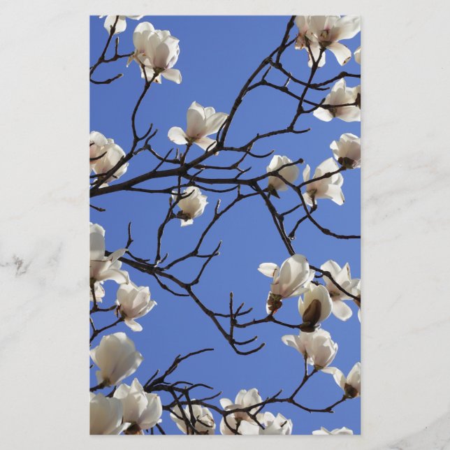 Papelaria Blooming Magnolias (Frente)