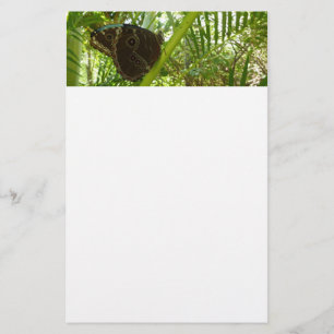 Papelaria Blue Morpho Butterfly - Fotografia da natureza tro