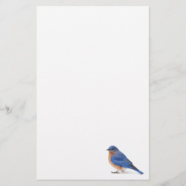 Papelaria Bluebird (Frente)