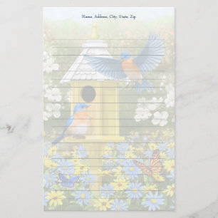 Papelaria Bluebird e Birmanês Amarelo Alto