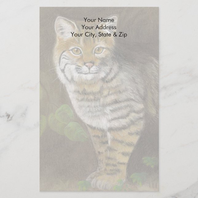 Papelaria Bobcat (Frente)