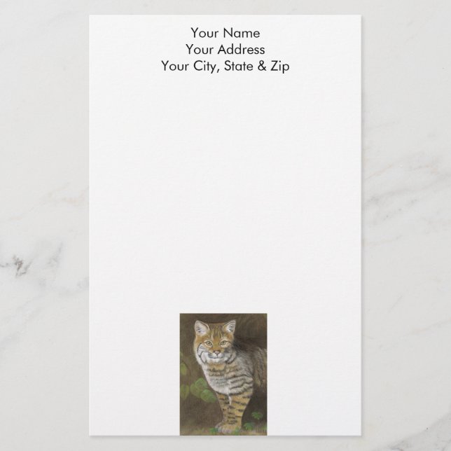 Papelaria Bobcat (Frente)