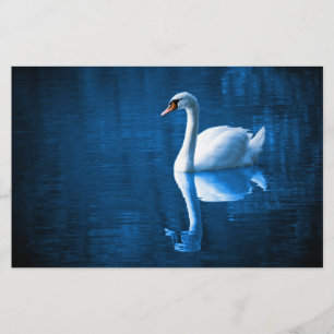 Papelaria Bonito cisne branco flutuando num lago azul