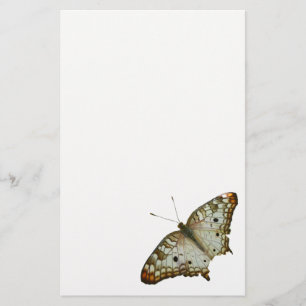 Papelaria Borboleta Exótica de Santa Lúcia