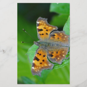 Papelaria Borboleta laranja