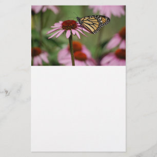 Papelaria Borboleta Monarca na Flor