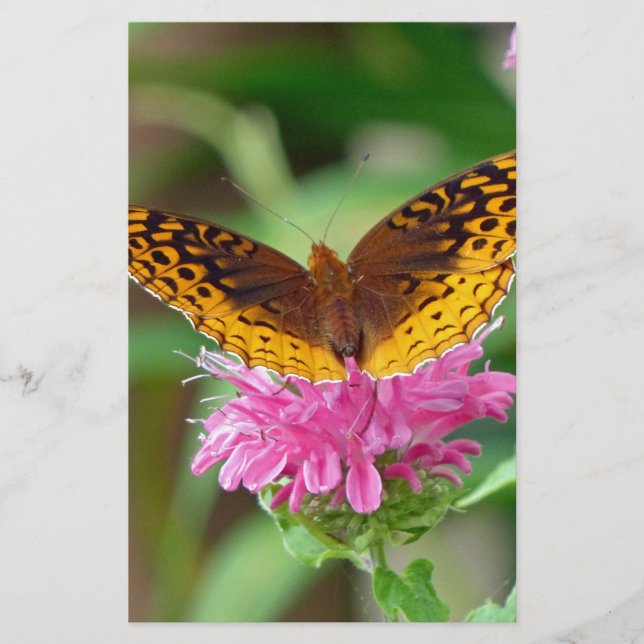 Papelaria Borboleta Silvery Checkerspot (Frente)
