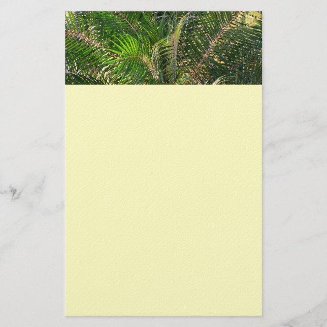 Papelaria Bordas Tropicais de Palm Lit Sunset (Frente)