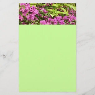 Papelaria Bougainvillea Floral