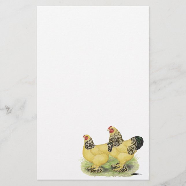 Papelaria Brahma Buff Pair (Frente)