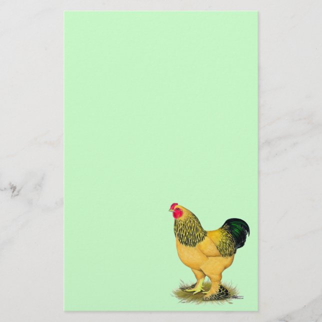 Papelaria Brahma: Buff Rooster (Frente)