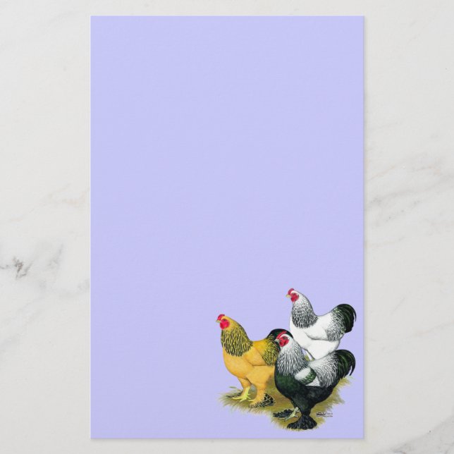 Papelaria Brahmas Three Roosters (Frente)