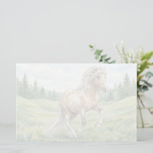 Papelaria Brana Pinto Palomino Aquarela Islandesa