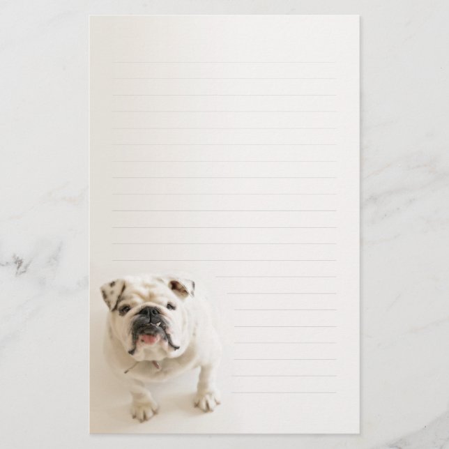 Papelaria Buldogue branco leal papel de carta alinhado (Frente)