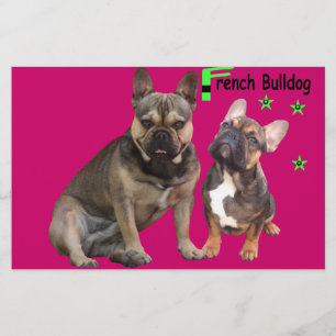 Papelaria Bulldogs franceses papéis de carta