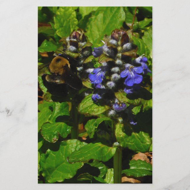 Papelaria Bumble e Bumble Bee (Frente)