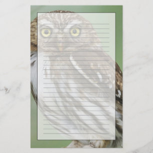 Papelaria Caburé-ferruginoso, Glaucidium brasilianum, 3