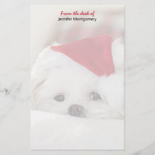 Papelaria Cachorro Branco bonito num chapéu de Natal Vermelh