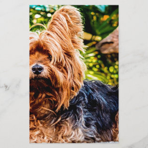 Papelaria Cachorro Cachorro Pet Yorkie Paz Amor Arte Diverti