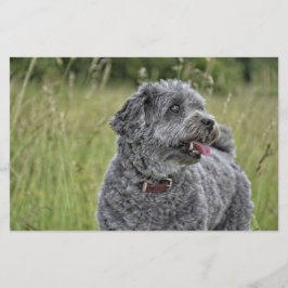 Papelaria Cachorro Cortado Terrier