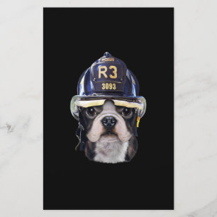 Papelaria Cachorro francês bonito Vestindo capacete de bomb