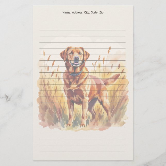 Papelaria Cachorro Labrador Retriever Fox Red (Frente)