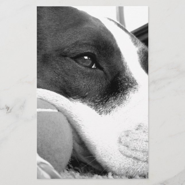 Papelaria cachorro pitbull fofo e triste, preto e branco com (Frente)